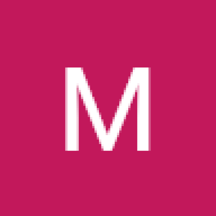 Profile picture for user martinapálušová