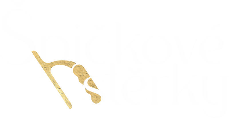 Logo – Špičkové stěrky
