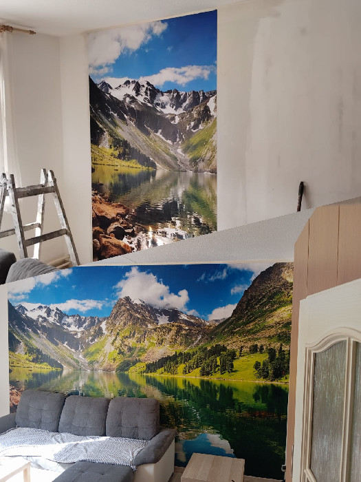 Fotografie z webu – Malíř pokojů Braun Jiří